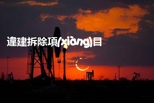 違建拆除項(xiàng)目：重塑都市風(fēng)貌，共建和諧家園